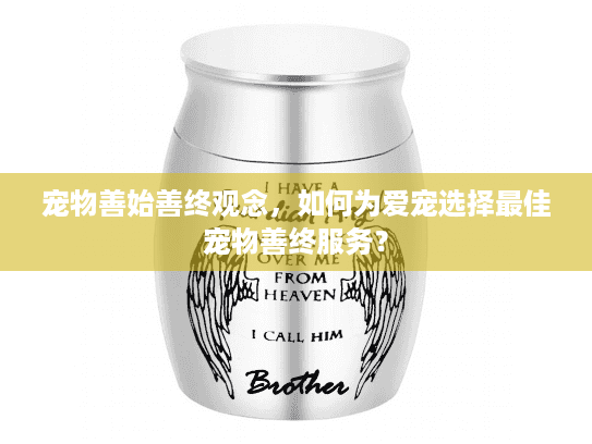 宠物善始善终观念，如何为爱宠选择最佳宠物善终服务？