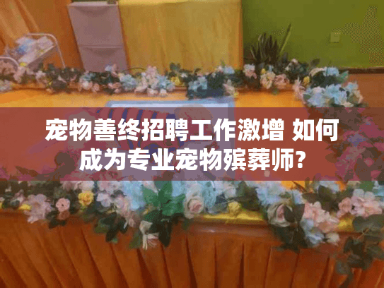 宠物善终招聘工作激增 如何成为专业宠物殡葬师?