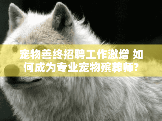 宠物善终招聘工作激增 如何成为专业宠物殡葬师?