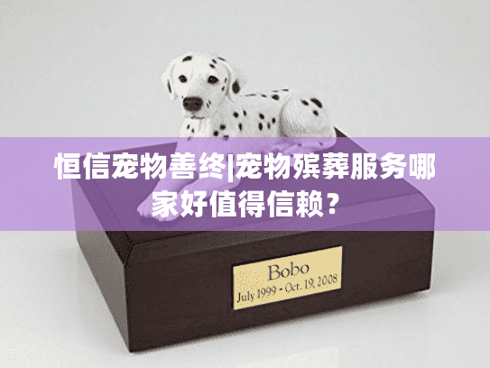 恒信宠物善终|宠物殡葬服务哪家好值得信赖？