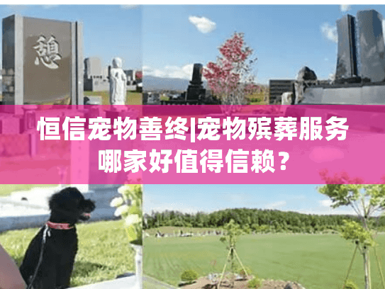 恒信宠物善终|宠物殡葬服务哪家好值得信赖？