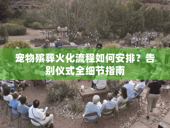 宠物殡葬火化流程如何安排？告别仪式全细节指南