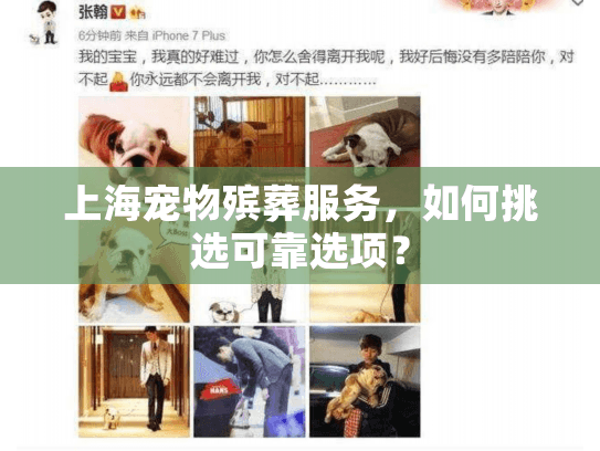 上海宠物殡葬服务，如何挑选可靠选项？