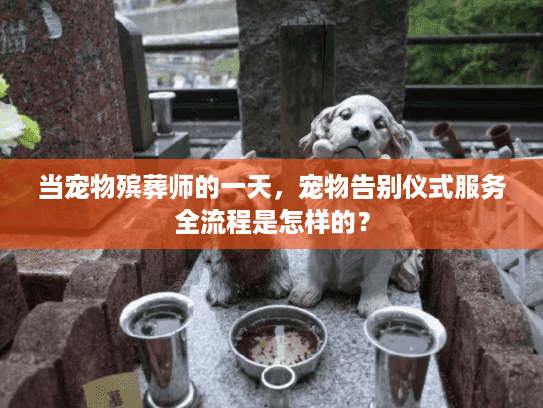 当宠物殡葬师的一天，宠物告别仪式服务全流程是怎样的？