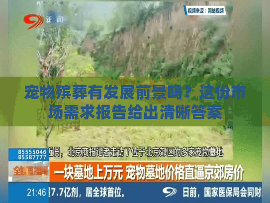 宠物殡葬有发展前景吗？这份市场需求报告给出清晰答案