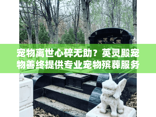宠物离世心碎无助？英灵殿宠物善终提供专业宠物殡葬服务指南