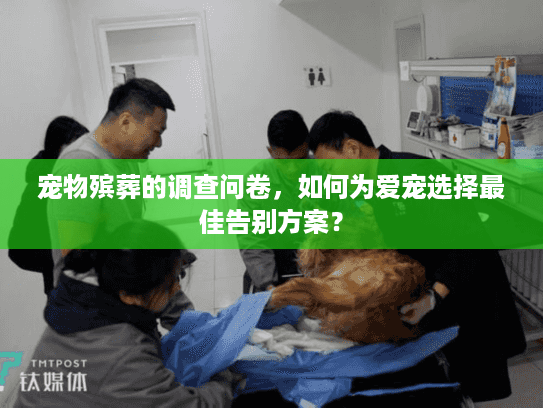 宠物殡葬的调查问卷，如何为爱宠选择最佳告别方案？