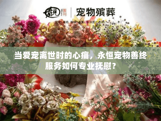 当爱宠离世时的心痛，永恒宠物善终服务如何专业抚慰？