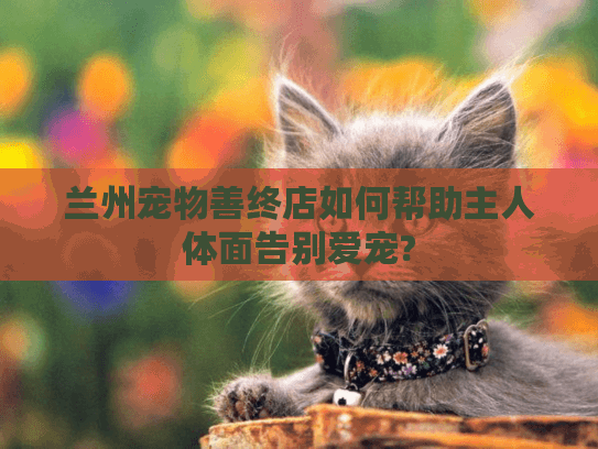 兰州宠物善终店如何帮助主人体面告别爱宠?