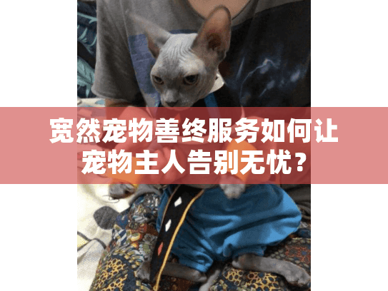 宽然宠物善终服务如何让宠物主人告别无忧？