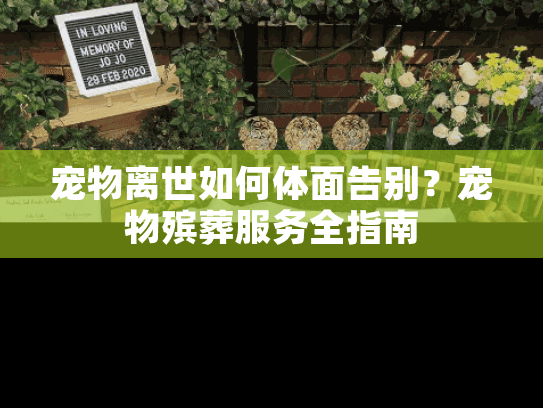 宠物离世如何体面告别？宠物殡葬服务全指南