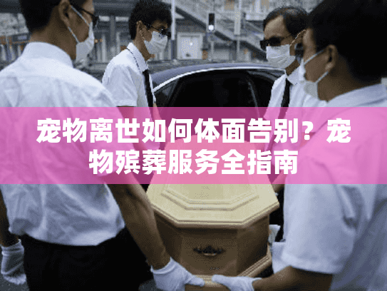 宠物离世如何体面告别？宠物殡葬服务全指南
