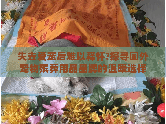 失去爱宠后难以释怀?探寻国外宠物殡葬用品品牌的温暖选择