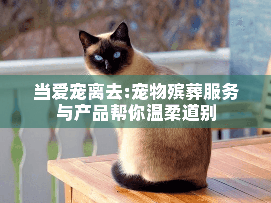 当爱宠离去:宠物殡葬服务与产品帮你温柔道别