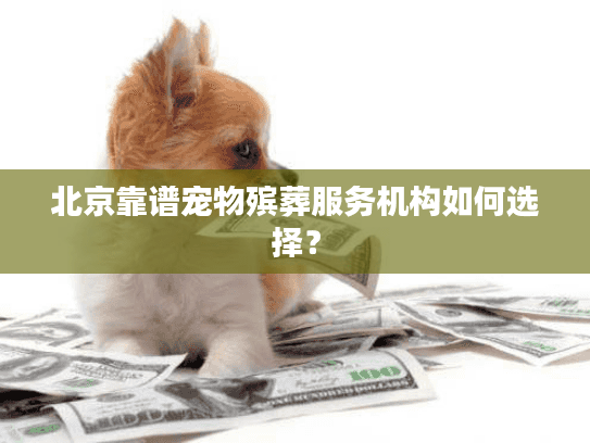 北京靠谱宠物殡葬服务机构如何选择？