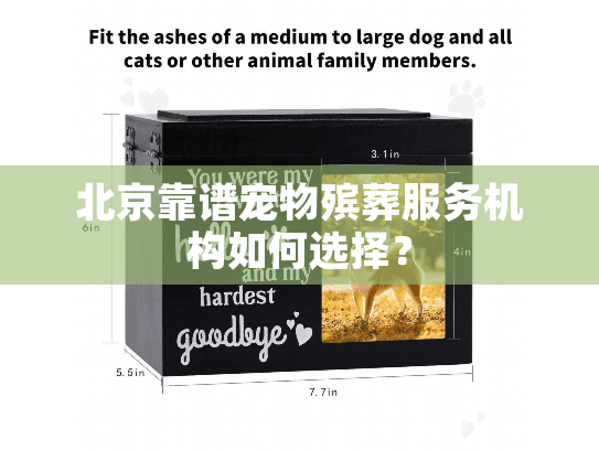 北京靠谱宠物殡葬服务机构如何选择？