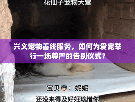 兴义宠物善终服务，如何为爱宠举行一场尊严的告别仪式？