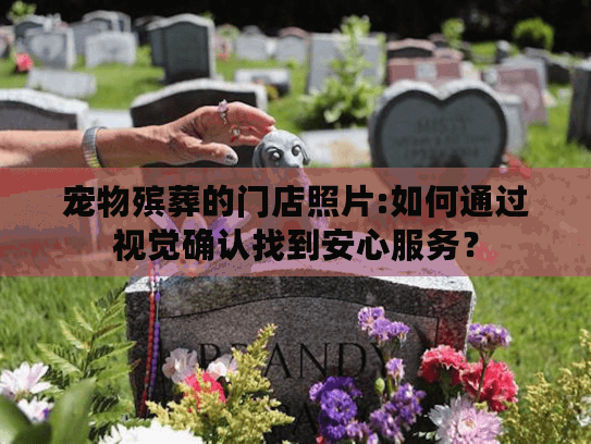 宠物殡葬的门店照片:如何通过视觉确认找到安心服务？