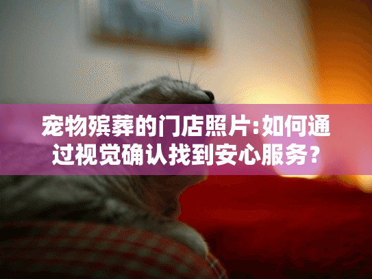 宠物殡葬的门店照片:如何通过视觉确认找到安心服务？