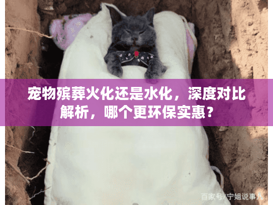 宠物殡葬火化还是水化，深度对比解析，哪个更环保实惠？