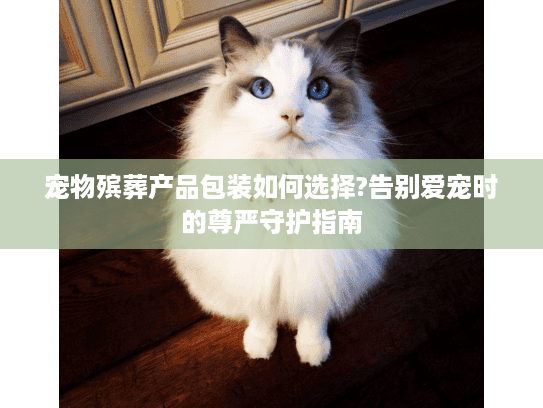 宠物殡葬产品包装如何选择?告别爱宠时的尊严守护指南