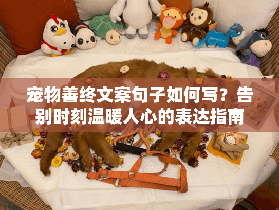 宠物善终文案句子如何写？告别时刻温暖人心的表达指南
