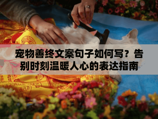 宠物善终文案句子如何写？告别时刻温暖人心的表达指南