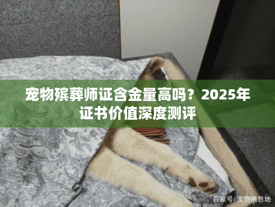 宠物殡葬师证含金量高吗？2025年证书价值深度测评