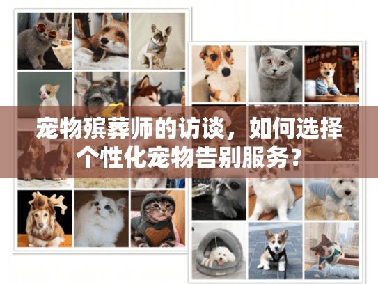 宠物殡葬师的访谈，如何选择个性化宠物告别服务？