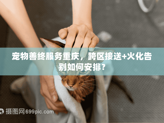 宠物善终服务重庆，跨区接送+火化告别如何安排？