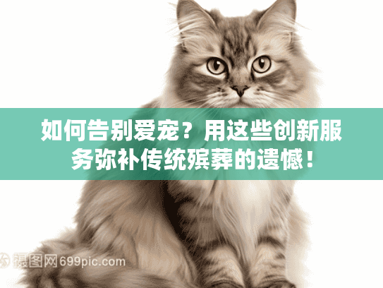 如何告别爱宠？用这些创新服务弥补传统殡葬的遗憾！