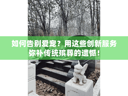 如何告别爱宠？用这些创新服务弥补传统殡葬的遗憾！