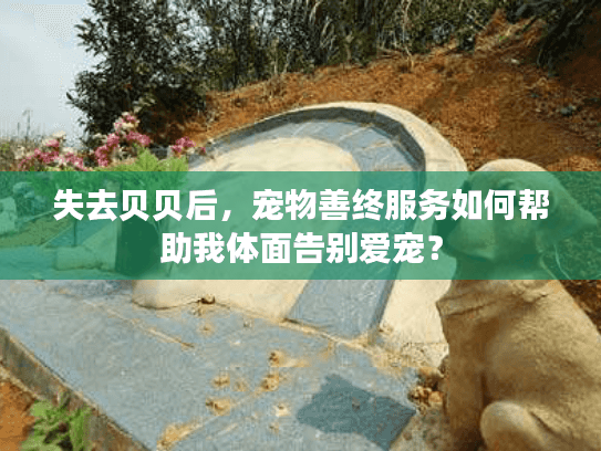 失去贝贝后，宠物善终服务如何帮助我体面告别爱宠？
