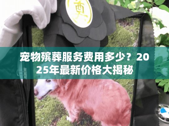 宠物殡葬服务费用多少？2025年最新价格大揭秘