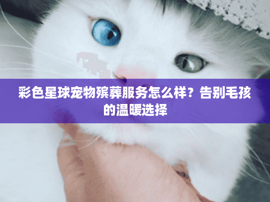 彩色星球宠物殡葬服务怎么样？告别毛孩的温暖选择