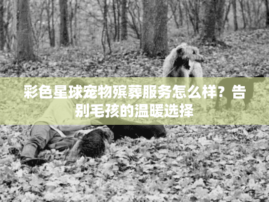 彩色星球宠物殡葬服务怎么样？告别毛孩的温暖选择