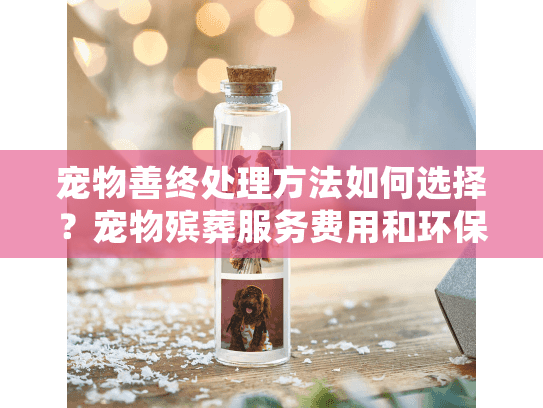 宠物善终处理方法如何选择？宠物殡葬服务费用和环保选项解析