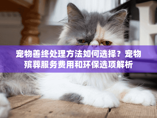 宠物善终处理方法如何选择？宠物殡葬服务费用和环保选项解析