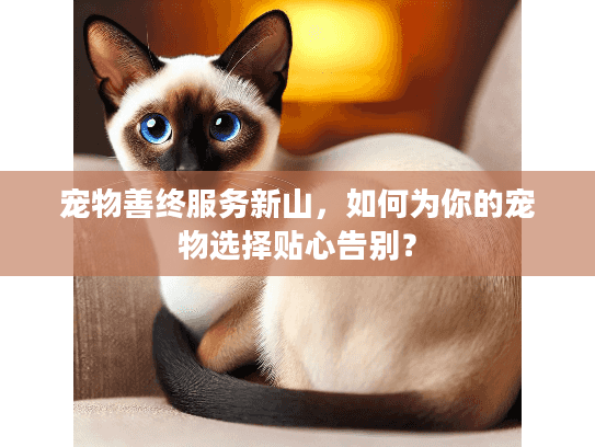 宠物善终服务新山，如何为你的宠物选择贴心告别？