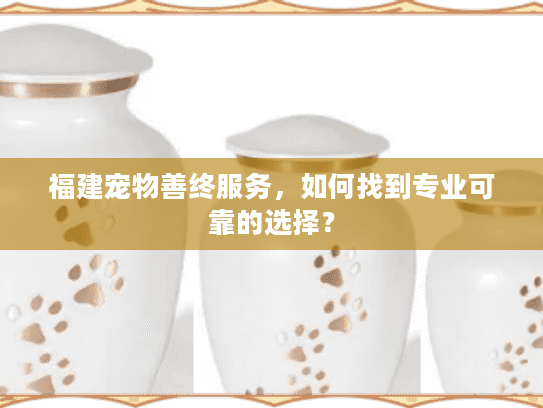福建宠物善终服务，如何找到专业可靠的选择？