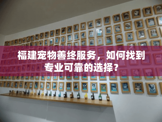 福建宠物善终服务，如何找到专业可靠的选择？