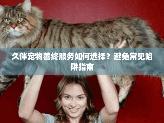 久伴宠物善终服务如何选择？避免常见陷阱指南