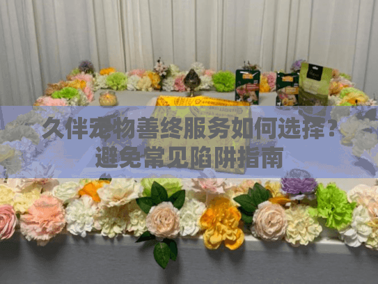 久伴宠物善终服务如何选择？避免常见陷阱指南