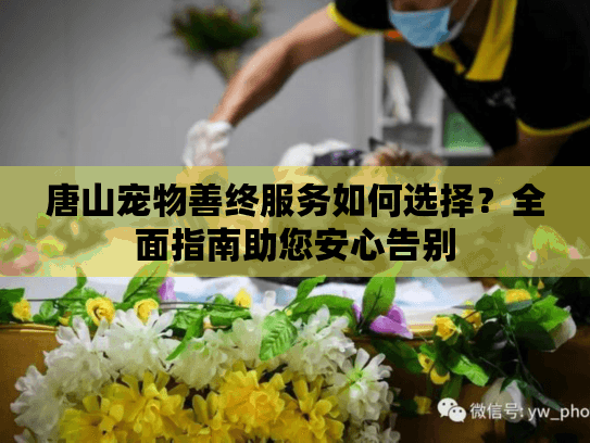 唐山宠物善终服务如何选择？全面指南助您安心告别