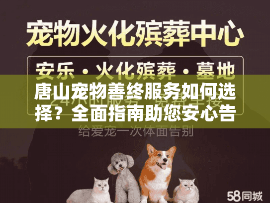 唐山宠物善终服务如何选择？全面指南助您安心告别