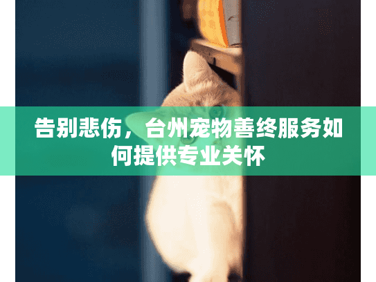 告别悲伤，台州宠物善终服务如何提供专业关怀