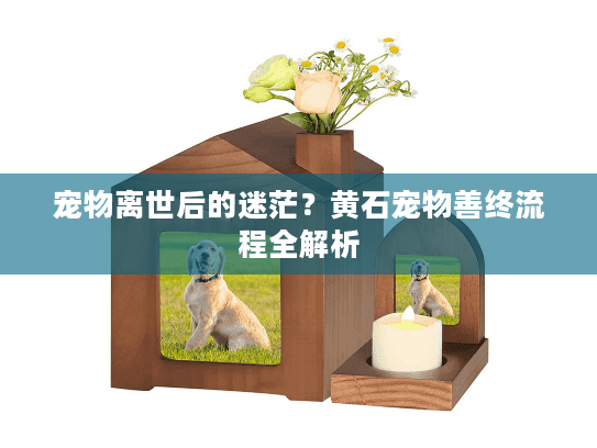 宠物离世后的迷茫？黄石宠物善终流程全解析
