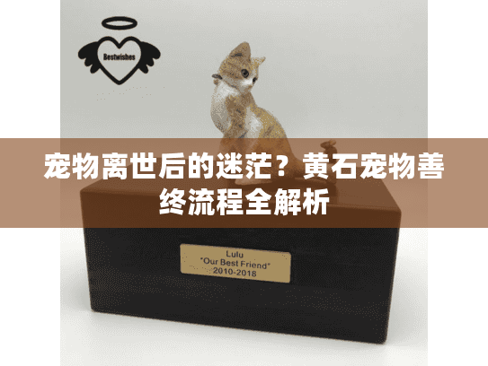 宠物离世后的迷茫？黄石宠物善终流程全解析