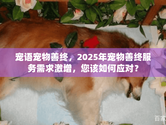 宠语宠物善终，2025年宠物善终服务需求激增，您该如何应对？