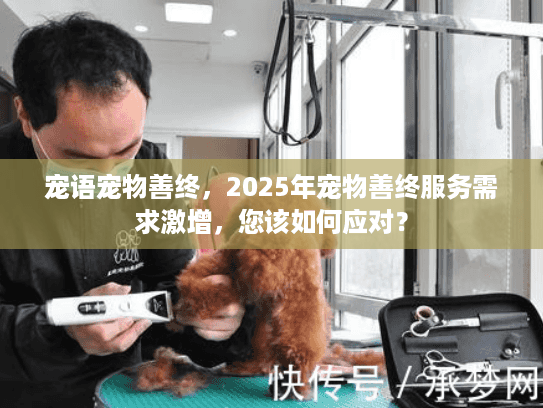 宠语宠物善终，2025年宠物善终服务需求激增，您该如何应对？